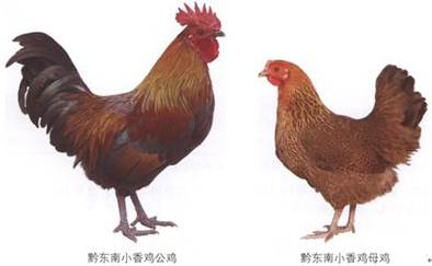 说明: http://swgcx.xxmzy.org.cn/UploadFiles/xszc/2016/10/201610171147259607.png