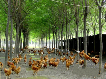 说明: http://swgcx.xxmzy.org.cn/UploadFiles/xszc/2016/10/201610171144193075.png