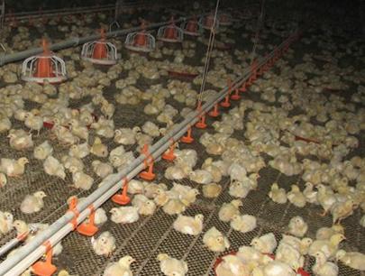 说明: http://swgcx.xxmzy.org.cn/UploadFiles/xszc/2016/10/201610171035444993.jpg