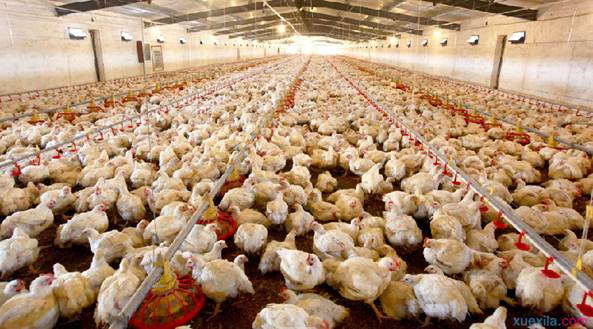 说明: http://swgcx.xxmzy.org.cn/UploadFiles/xszc/2016/10/201610171034582901.png