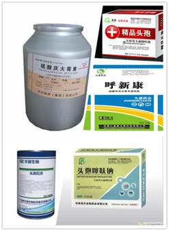 说明: http://swgcx.xxmzy.org.cn/UploadFiles/xszc/2016/10/201610171041333397.jpg