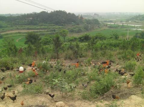 说明: http://swgcx.xxmzy.org.cn/UploadFiles/xszc/2016/10/201610171036420217.jpg