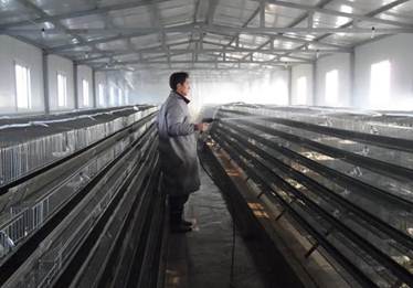 说明: http://swgcx.xxmzy.org.cn/UploadFiles/xszc/2016/10/201610171040274987.jpg