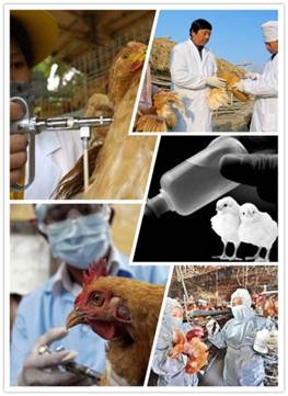 说明: http://swgcx.xxmzy.org.cn/UploadFiles/xszc/2016/10/201610171115070218.png