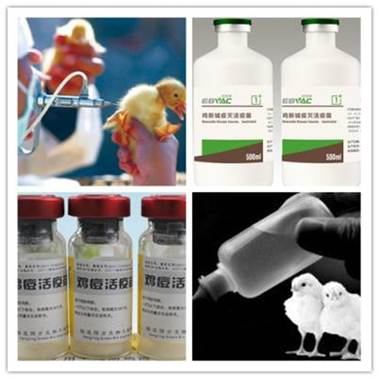 说明: http://swgcx.xxmzy.org.cn/UploadFiles/xszc/2016/10/201610171042582476.jpg