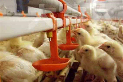 说明: http://swgcx.xxmzy.org.cn/UploadFiles/xszc/2016/10/201610171054190972.png