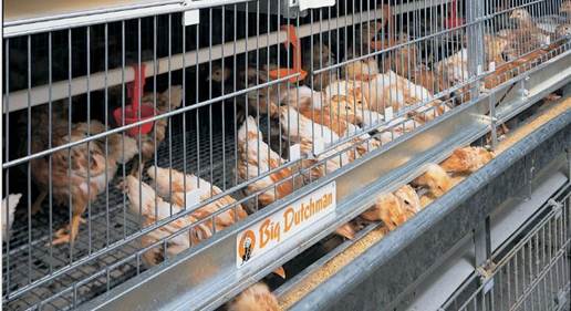 说明: http://swgcx.xxmzy.org.cn/UploadFiles/xszc/2016/10/201610171036154587.jpg