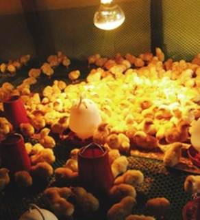 说明: http://swgcx.xxmzy.org.cn/UploadFiles/xszc/2016/10/201610171052116819.jpg