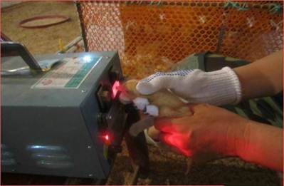 说明: http://swgcx.xxmzy.org.cn/UploadFiles/xszc/2016/10/201610171128568000.png